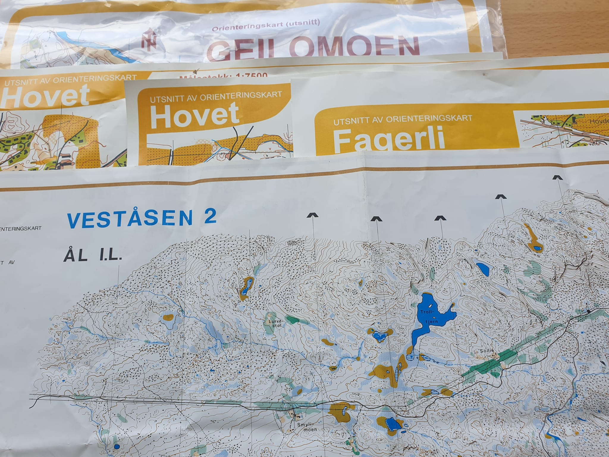 O-løp på Veståsen 2 kartet onsdag 14/8 kl. 18 - Postane ligg ute torsdag 15/8. Kart i grønt telt ved vegen.